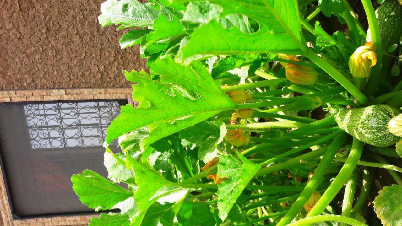 Ouirgane Ecolodge 외부 사진