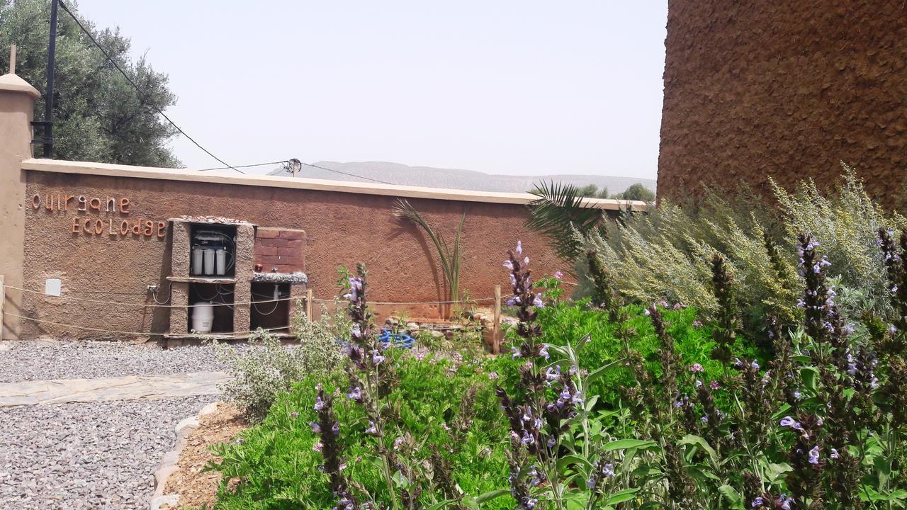 Ouirgane Ecolodge 외부 사진