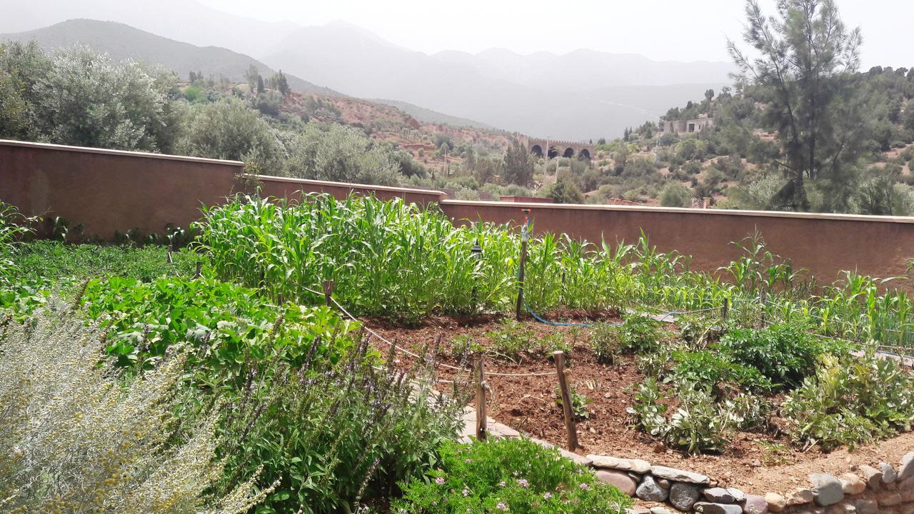Ouirgane Ecolodge 외부 사진