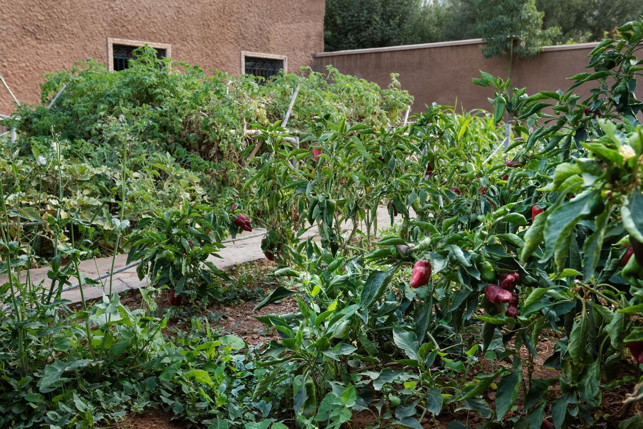 Ouirgane Ecolodge 외부 사진